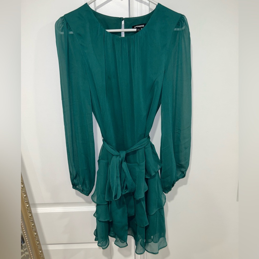 Express chiffon dress